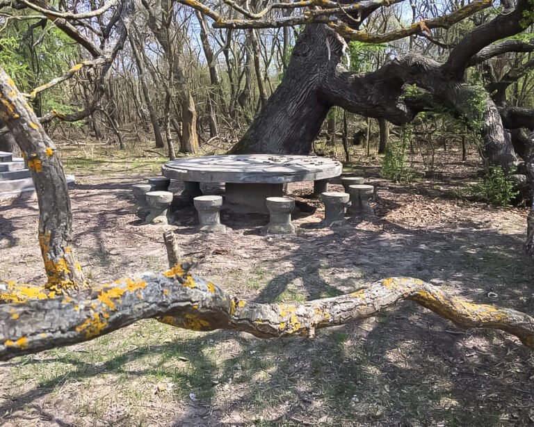 Masă din piatră în pădure, ramețe în prim-plan.